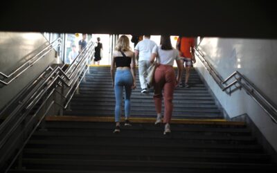 pantalon taille haute