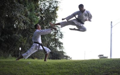sports de combat