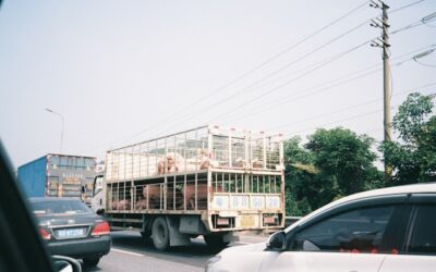 transport d’animaux