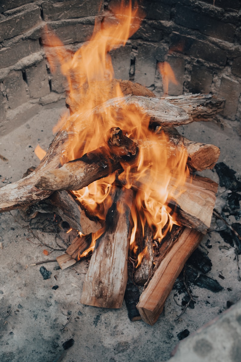 Bases de la survie